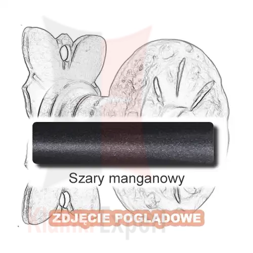 12 Szary manganowy.webp
