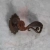 1-RST-15M-1000x1000.webp