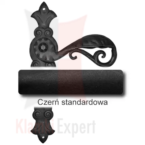 1 Czerń standardowa.webp