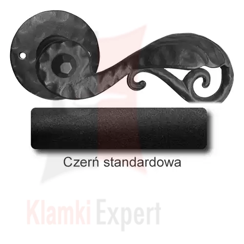 1 Czerń standardowa.webp