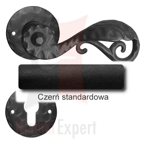 1 Czerń standardowa.webp