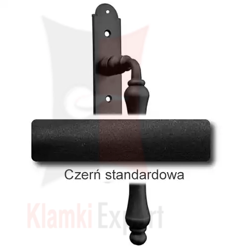 1 Czerń standardowa.webp