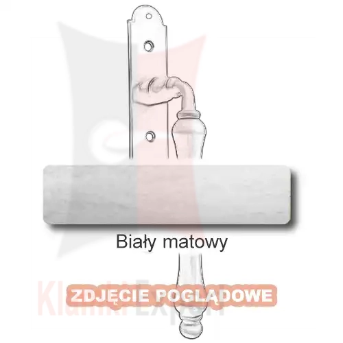 10 Biały matowy.webp