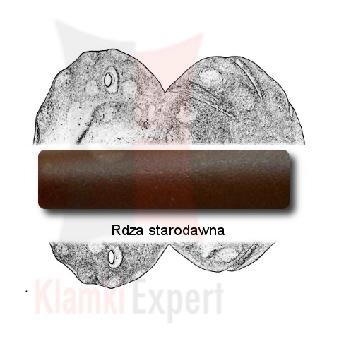 Rdza starodawna