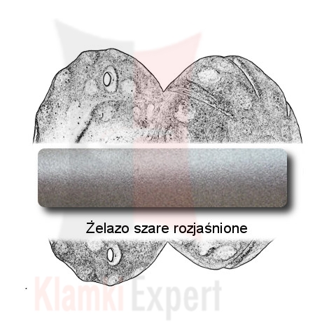 Żelazo szare rozjaśnione