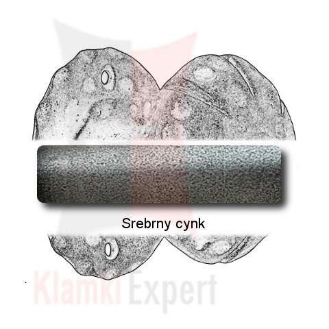 Srebrny cynk