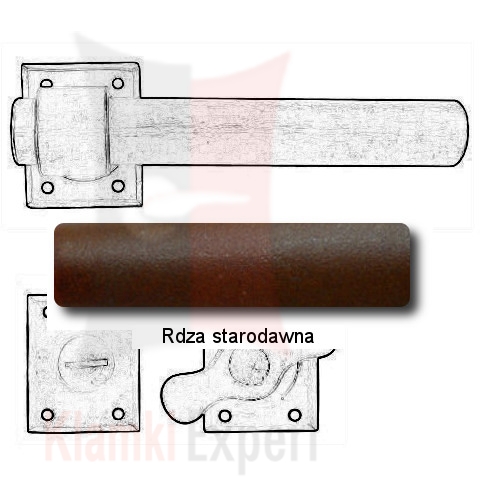 Rdza starodawna
