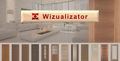 Wizualizator